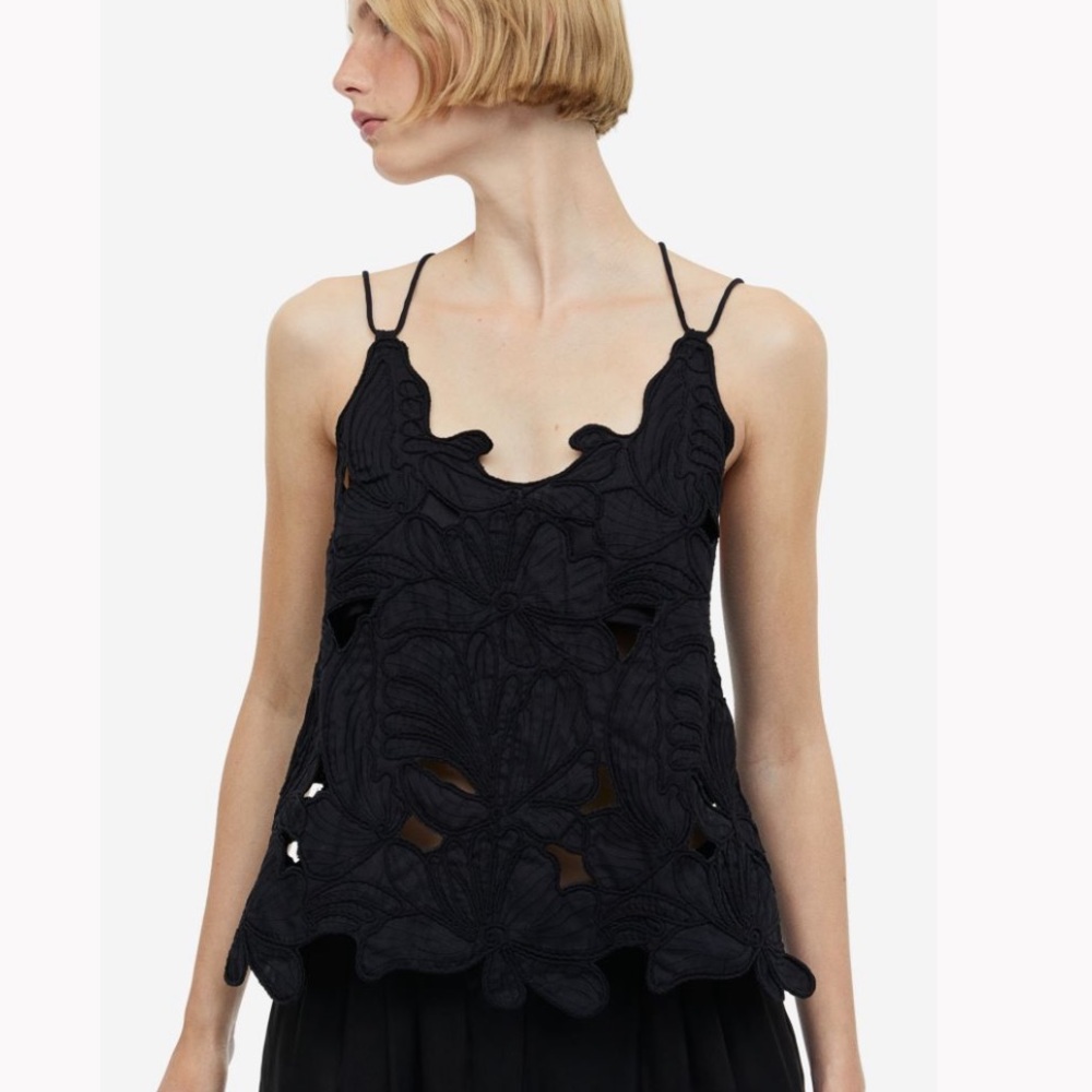 h & m • embroidered top